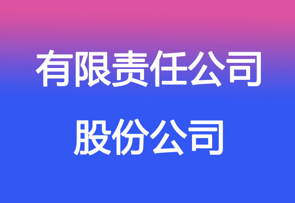 美國(guó)股份公司與有限責(zé)任公司
